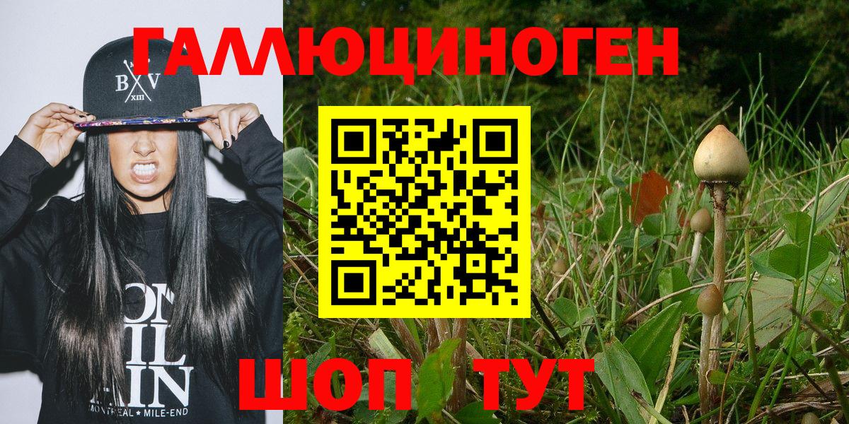 Галлюциногенные грибы Psilocybine cubensis Арсеньев