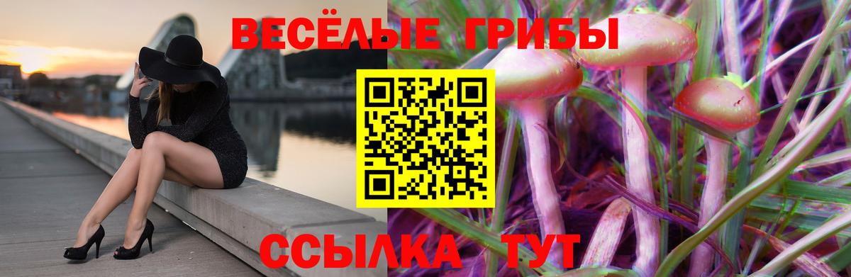 Галлюциногенные грибы GOLDEN TEACHER  Вход с VPN  Арсеньев  Псилоцибиновые грибы мухоморы 